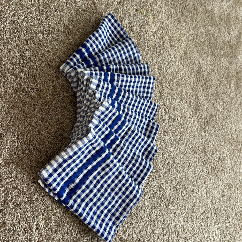 Set of nine white and blue gingham dinner napkins, all cotton